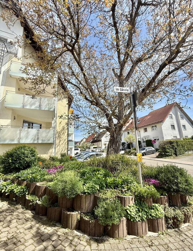 Wohnung zur Miete 1.065 € 3 Zimmer 86 m² 1. Geschoss Schlierbach 73278