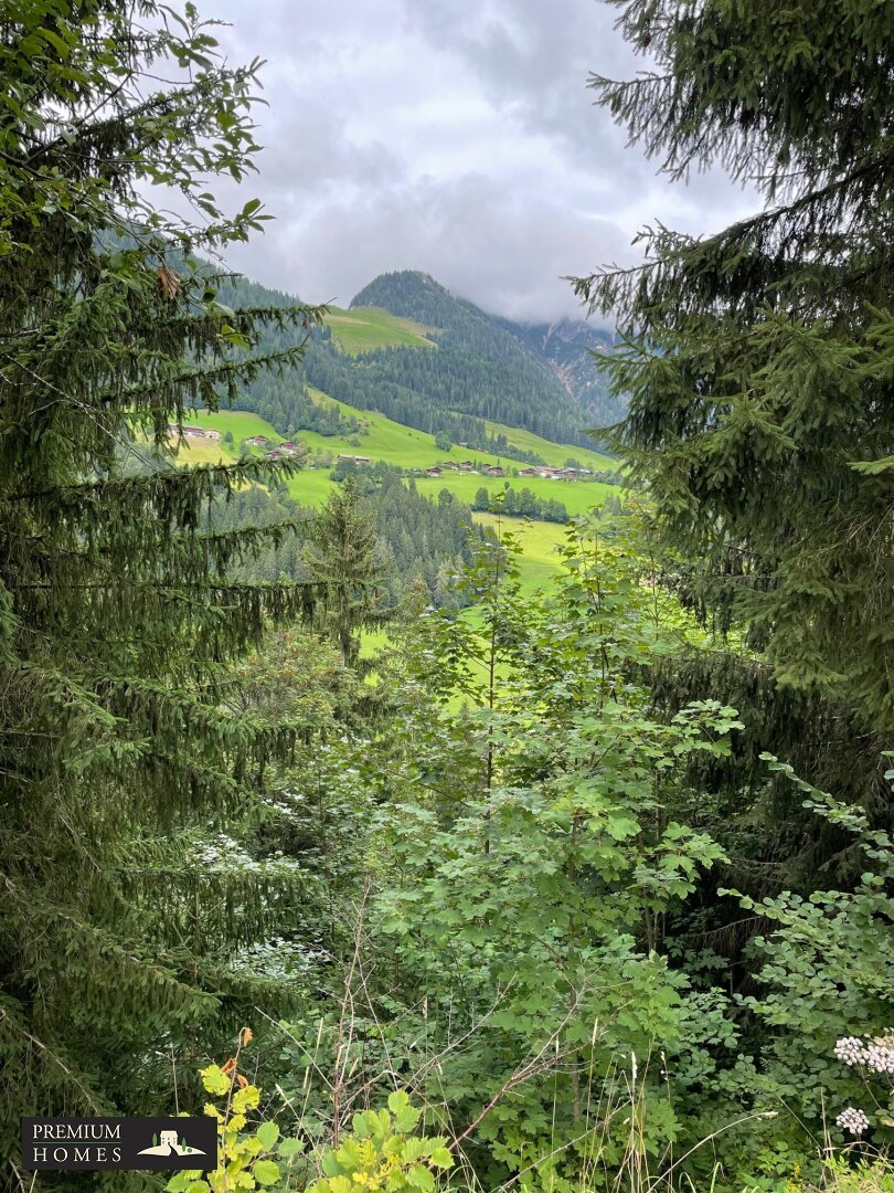 Forstwirtschaft zum Kauf 62.391 m²<br/>Grundstück Reith im Alpbachtal 6235