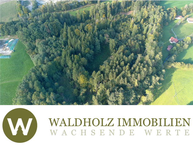 Forstwirtschaft zum Kauf 180.000 € 28.143 m² Grundstück Amerang 83123