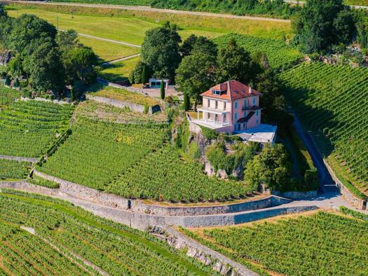 Einfamilienhaus zum Kauf 10.814.988 € 10 Zimmer 600 m² Chexbres Chexbres 1071