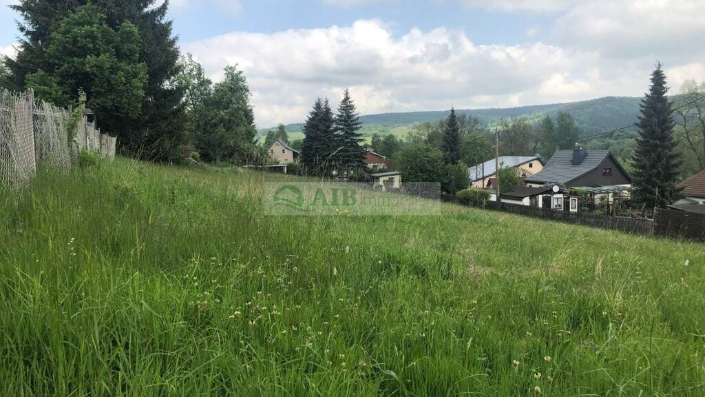 Grundstück zum Kauf 70.000 € 1.400 m² Grundstück Rothenthal 09526