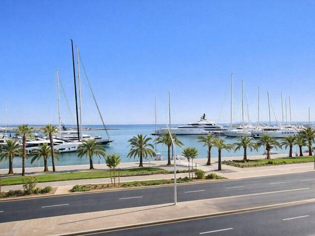 Studio zum Kauf 549.000 € 2 Zimmer 50 m² 1. Geschoss Palma 07014