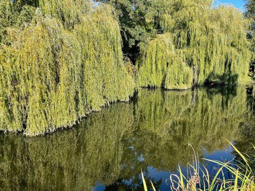 Teich-/Fischwirtschaft zum Kauf 300.000 € 11.975 m² 20.014 m² Grundstück Gelinter Wachtendonk 47669