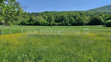 Land-/Forstwirtschaft zum Kauf 20.000 € siroka Kula