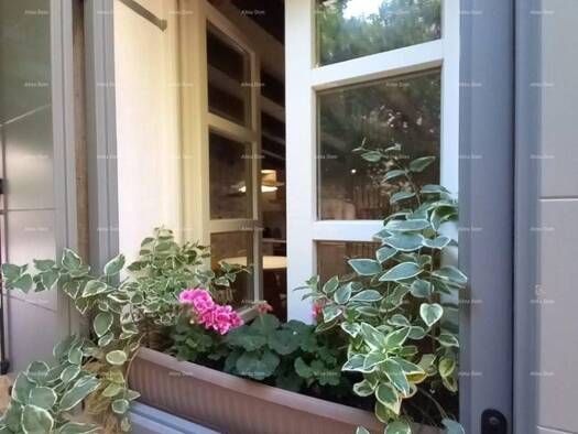 Einfamilienhaus zum Kauf - Erstbezug 369.000 € 3 Zimmer 116 m² Bale 52211