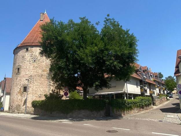 Wohnung zum Kauf 169.000 € 2 Zimmer 43,8 m² frei ab sofort Vaihingen an der Enz Vaihingen an der Enz 71665