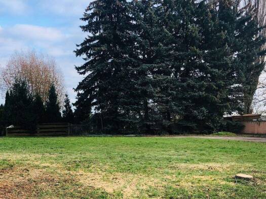 Grundstück zum Kauf provisionsfrei 39.500 € 1.400 m² Grundstück Baugenehmigung vorhanden Hohenebra Sondershausen 99706