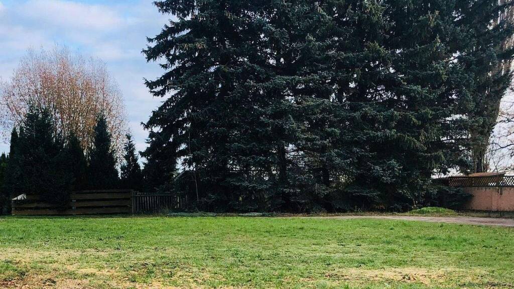 Grundstück zum Kauf provisionsfrei 36.500 € 1.400 m² Grundstück Baugenehmigung vorhanden Hohenebra Sondershausen 99706