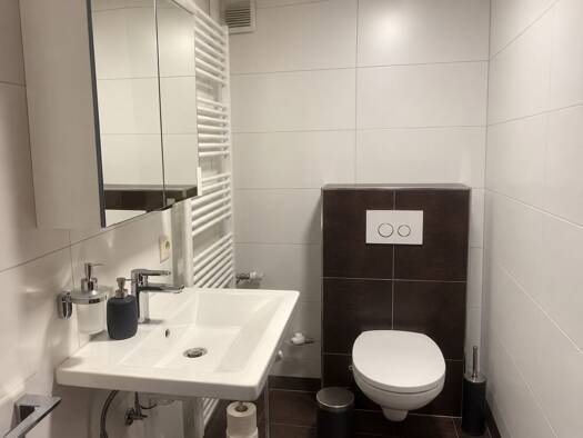 Terrassenwohnung zur Miete 750 € 1 Zimmer 40 m² frei ab sofort Korb Korb 71404