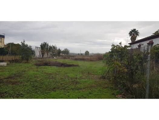 Acker-/Waldstück zum Kauf 58.000 € Córdoba 14013