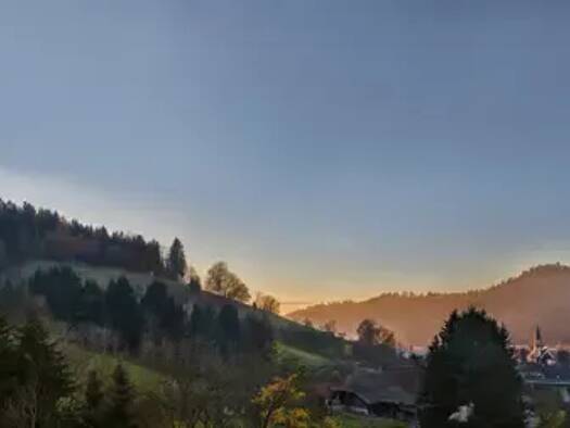 Terrassenwohnung zur Miete 4.000 € 5 Zimmer 196 m² Geschoss EG/3 frei ab sofort Waldkirch Waldkirch 79183