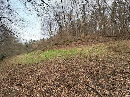 Gewerbegrundstück zum Kauf 19.500 € Steinbach Johannesberg 63867