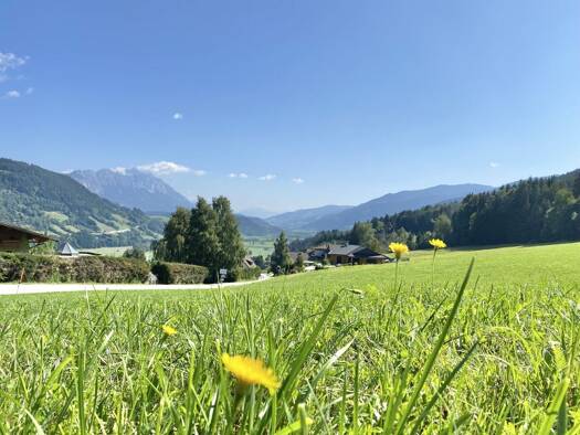 Grundstück zum Kauf 229.999 € 768 m² Grundstück Michaelerberg-Pruggern 8965