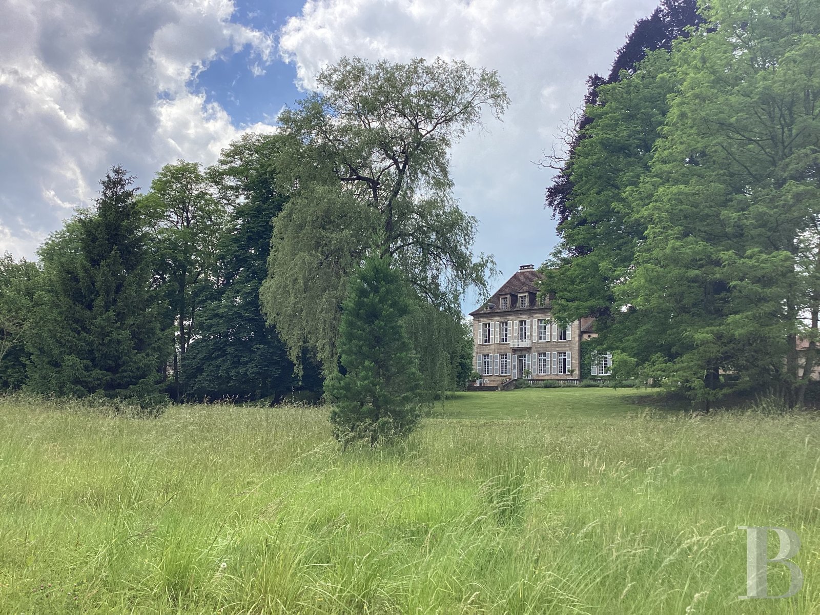 Schloss zum Kauf 1.065.000 € 11 Zimmer 412 m²<br/>Wohnfläche 17.524 m²<br/>Grundstück Luxeuil-les-Bains 70300