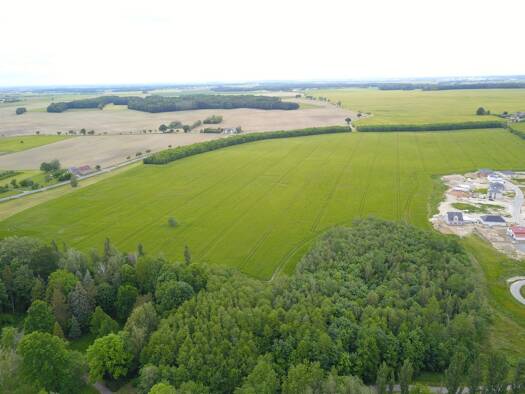 Grundstück zum Kauf 117.400 € 587 m² Grundstück Etzoldshain Bad Lausick 04651