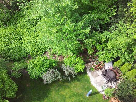 Wohnung zum Kauf 190.000 € 2 Zimmer 55,5 m² EG Pölitzstraße 29 Gohlis-Süd Leipzig 04155