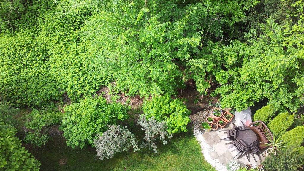 Wohnung zum Kauf 190.000 € 2 Zimmer 55,5 m² EG Pölitzstraße 29 Gohlis-Süd Leipzig 04155