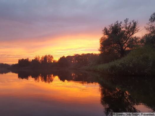 Einfamilienhaus zum Kauf 195.000 € 2 Zimmer 55 m² 118 m² Grundstück Teterow 17166