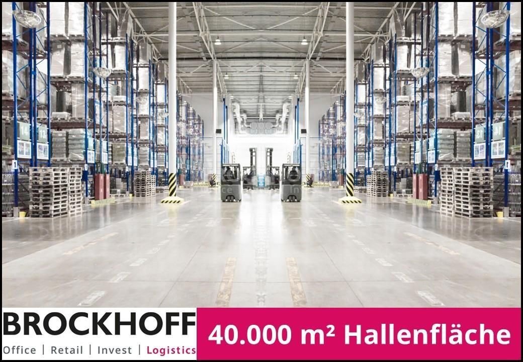 Halle/Industriefläche zur Miete 40.000 m²<br/>Lagerfläche ab 10.000 m²<br/>Teilbarkeit Gelmer - Dyckburg Münster 48157