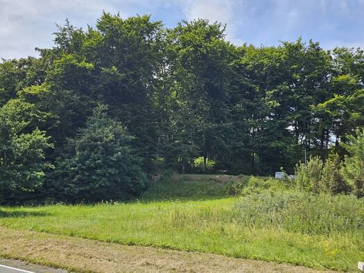 Grundstück zum Kauf 85.000 € 993 m² Grundstück Stahlhofen 56459