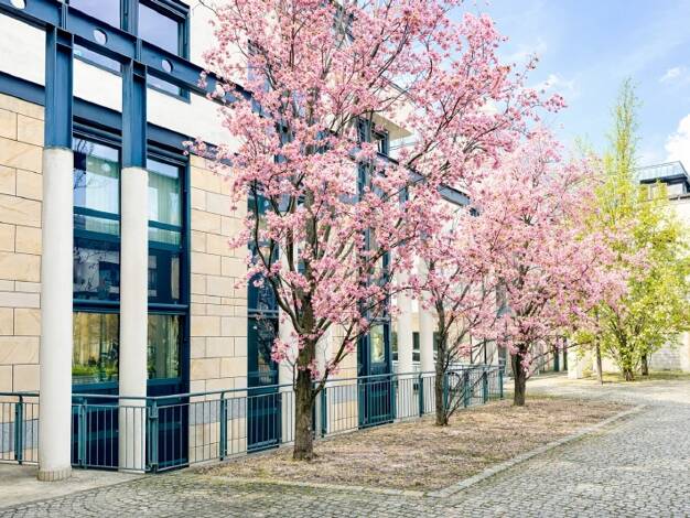 Bürofläche zur Miete provisionsfrei 12 € 789 m² Bürofläche Albertstadt Dresden 01099