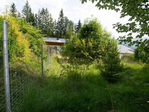 Grundstück zum Kauf 491.400 € 702 m² Grundstück St. Ulrich am Pillersee 6393