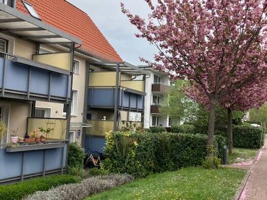 Wohnung zur Miete 335 € 2 Zimmer 47,7 m² EG frei ab 16.08.2025 Süntelstr. 29 Bad Münder Bad Münder 31848