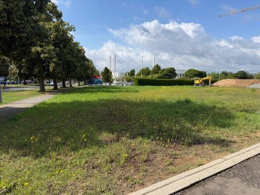 Grundstück zum Kauf provisionsfrei 51.322 € 766 m² Grundstück Franziska-Weißenborn-Straße 1 Mühlhausen Mühlhausen/Thüringen 99974