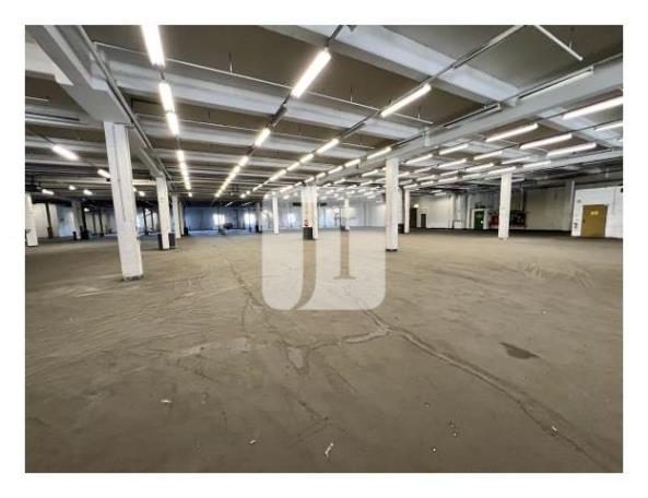 Lagerhalle zur Miete 9.000 m²<br/>Lagerfläche Billbrook Hamburg 22113