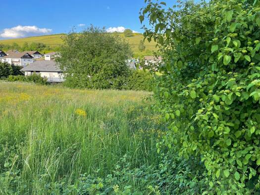 Grundstück zum Kauf 50.000 € 1.100 m² Grundstück Burbach Burbach 54597