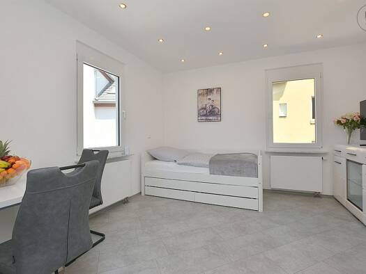Studio zur Miete auf Zeit 1.250 € 1 Zimmer 27 m² frei ab 01.05.2026 Mitte Stuttgart 70182