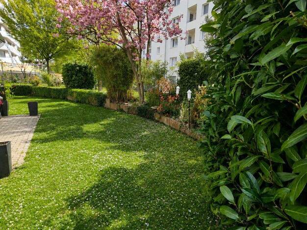 Wohnung zum Kauf provisionsfrei 479.000 € 3,5 Zimmer 76 m² EG Petershausen Konstanz 78467