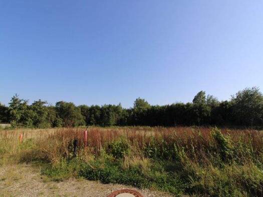 Grundstück zum Kauf 89.000 € 642 m² Grundstück Stollhamm Butjadingen / Eckwarden 26969