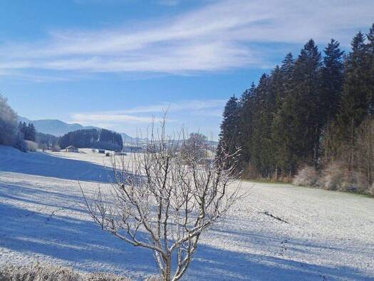 Einfamilienhaus zum Kauf provisionsfrei 1.200.000 € 7 Zimmer 194 m² 722 m² Grundstück Sulzberg 87477