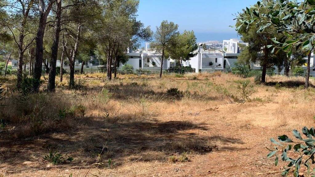 Grundstück zum Kauf 10.780.000 € 10.700 m² Grundstück Golden Beach 29600