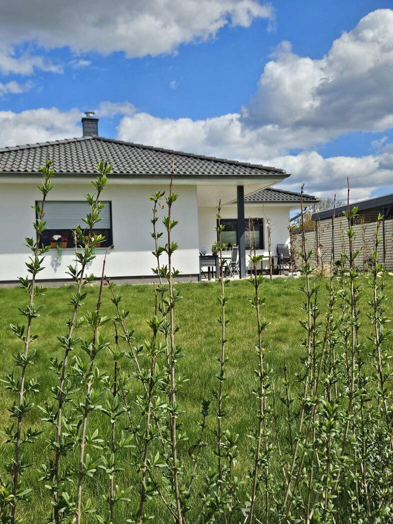 Einfamilienhaus zum Kauf provisionsfrei 449.000 € 4 Zimmer 110 m² 657 m² Grundstück West / Lübsche Burg Wismar 23966