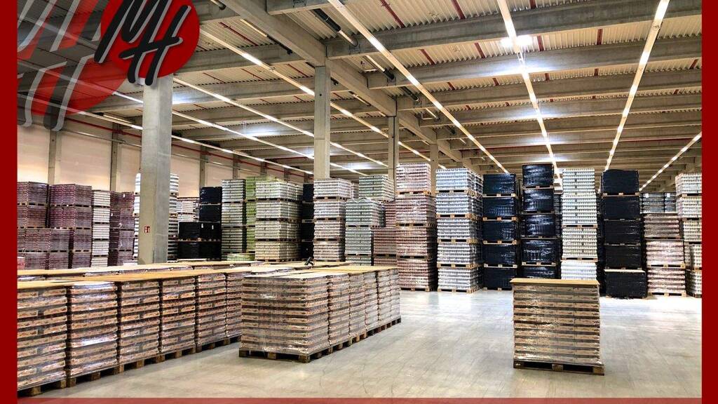 Lagerhalle zur Miete 9.200 m² Lagerfläche Egelsbach 63329