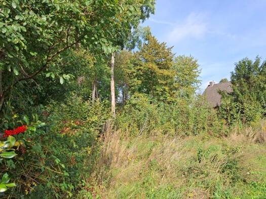 Grundstück zum Kauf provisionsfrei 1.872 € 576 m² Grundstück frei ab sofort Hermannsburg Südheide 29320