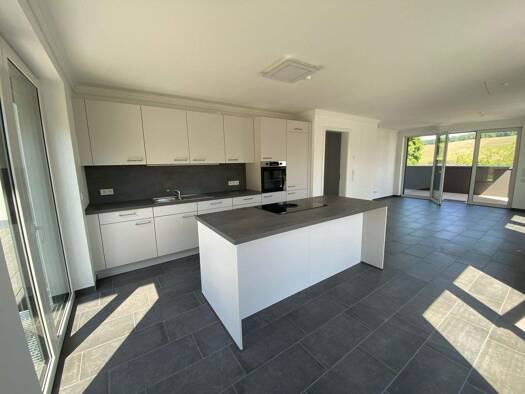 Wohnung zur Miete 980 € 2 Zimmer 87 m² EG Ayl 54441