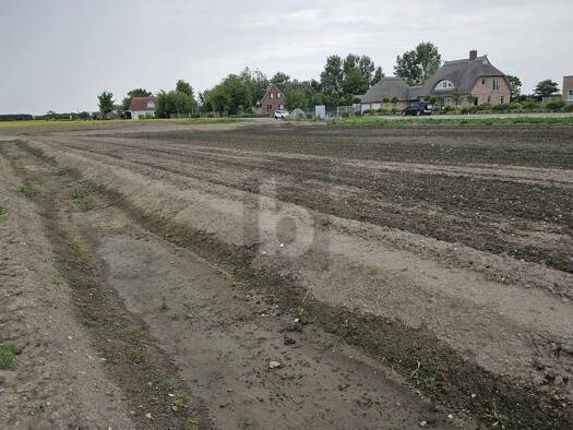 Grundstück zum Kauf 219.000 € 890 m² Grundstück Lemkendorf Fehmarn 23769