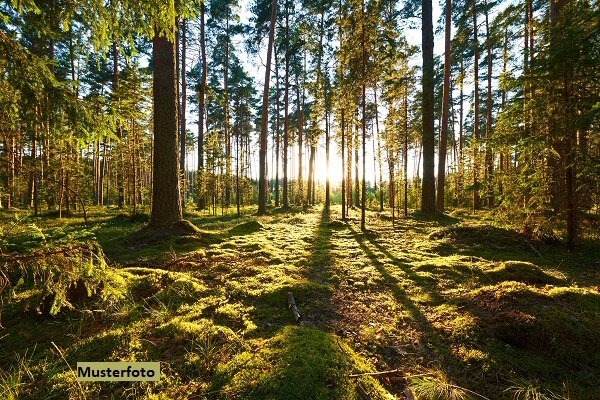 Land-/Forstwirtschaft zum Kauf 1.100 € 1.769 m²<br/>Grundstück Niederroßbach Haiger 35708