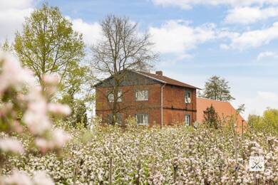 Mehrfamilienhaus zum Kauf 399.000 € 340 m² 3.093 m² Grundstück Nindorf Drochtersen / Nindorf 21706