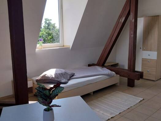 Wohnung zur Miete 220 € 1 Zimmer 21,7 m² 5. Geschoss frei ab sofort Freiberg Freiberg 09599