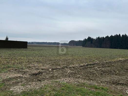 Grundstück zum Kauf 120 € 3.252 m² Grundstück Gabersdorf 8424
