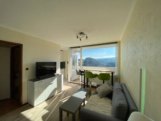Wohnung zur Miete Wohnen auf Zeit 385 € 1,5 Zimmer 31 m² Altenau 38707