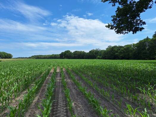 Land-/Forstwirtschaft zum Kauf Midlum Wurster Nordseeküste 27639