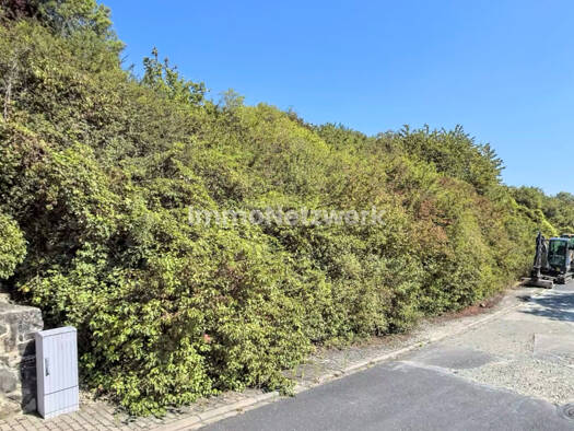 Grundstück zum Kauf 48.000 € 580 m² Grundstück Röttingen 97285