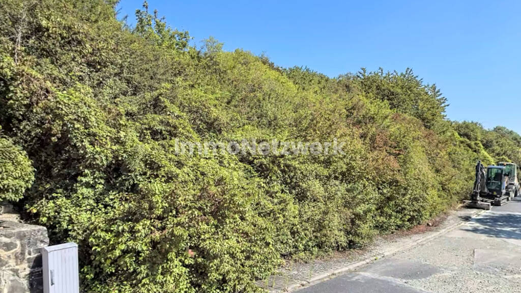 Grundstück zum Kauf 48.000 € 580 m² Grundstück Röttingen 97285