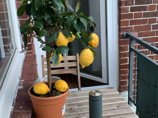 Wohnung zum Kauf provisionsfrei 325.000 € 3 Zimmer 54 m² Geschoss 4/5 Ifflandstraße 41 Hohenfelde Hamburg 22087