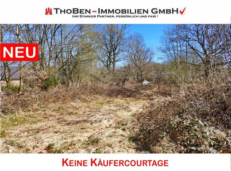 Grundstück zum Kauf provisionsfrei 1.200.000 € 5.100 m² Grundstück Negernbötel Negernbötel 23795